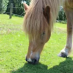 The Barn Give